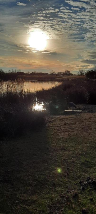 Le Mas De Mon Pere Saintes-Maries-de-la-Mer Bagian luar foto