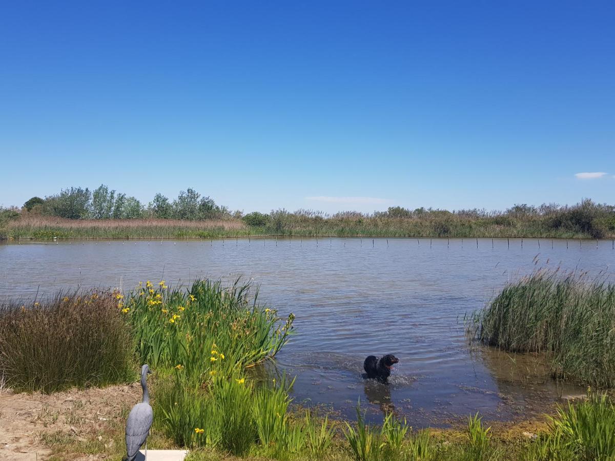 Le Mas De Mon Pere Saintes-Maries-de-la-Mer Bagian luar foto