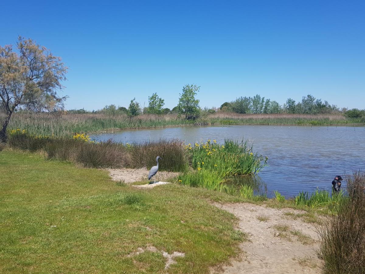 Le Mas De Mon Pere Saintes-Maries-de-la-Mer Bagian luar foto