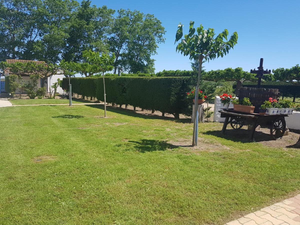 Le Mas De Mon Pere Saintes-Maries-de-la-Mer Bagian luar foto